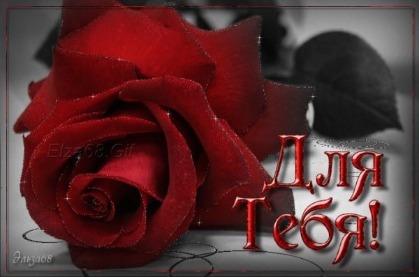Розы с надписью для тебя