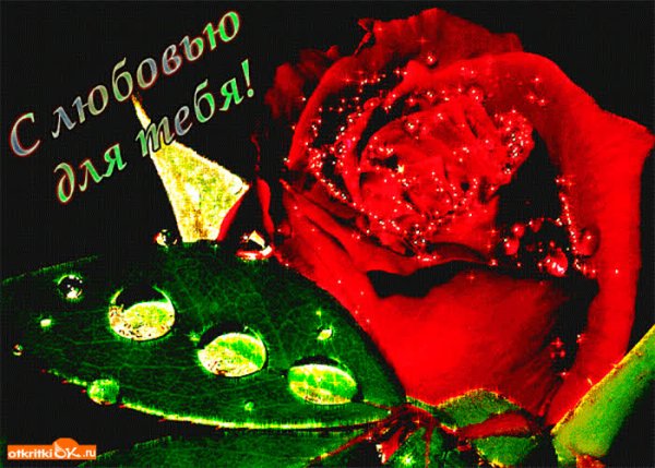 Цветы гифы любимой