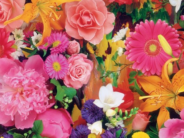 Заставки на телефон красивые цветы новые