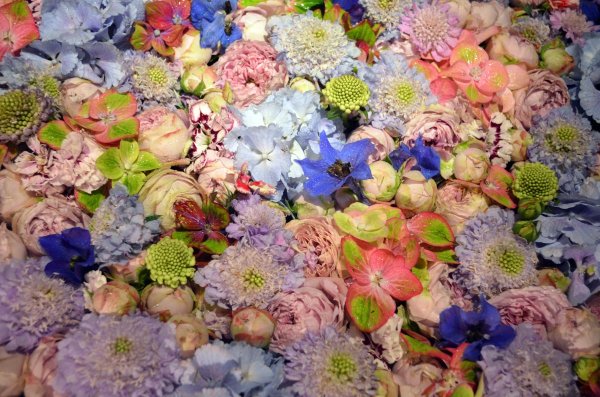 Цветы ассорти