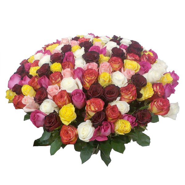 Розы хризантемы тюльпаны