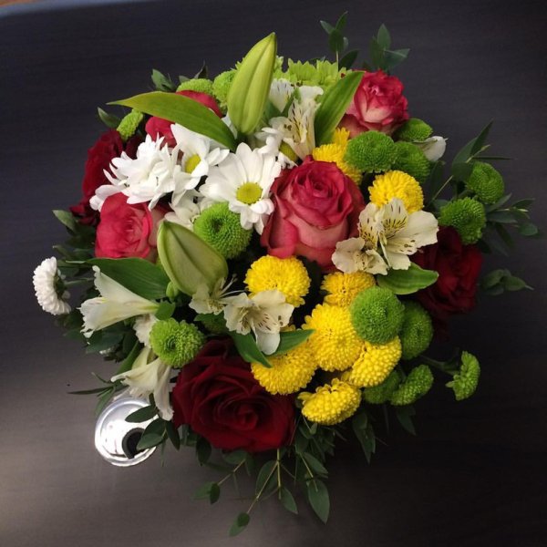 Георгина Анвинс