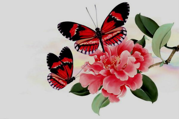 Елена Доведова художник картины