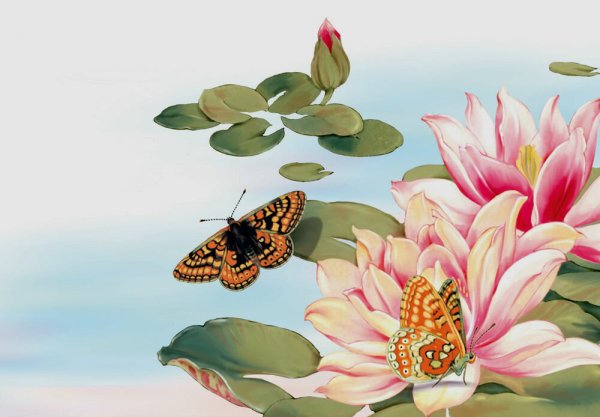 Елена Доведова художник