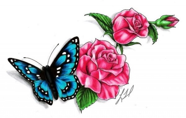 Тату цветов и бабочек цветные