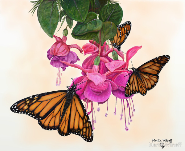 Бабочка на цветке