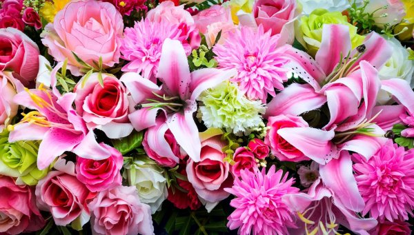 Астра Букетная