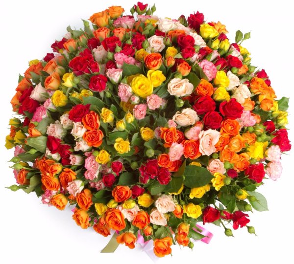 Букет с герберами и аспидистрой