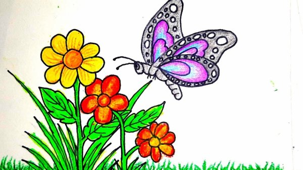 Бабочка на цветке рисунок биология