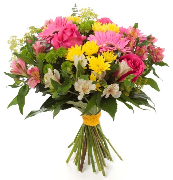 Цветы цинии