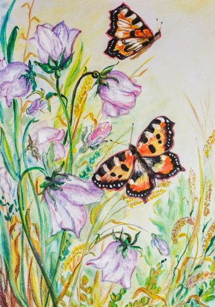 Бабочка акварельными карандашами