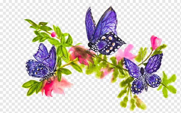 Бабочка на цветке