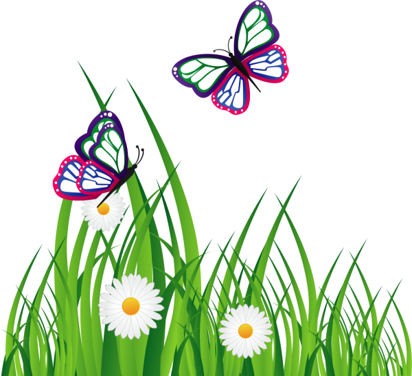 Бабочка на травке