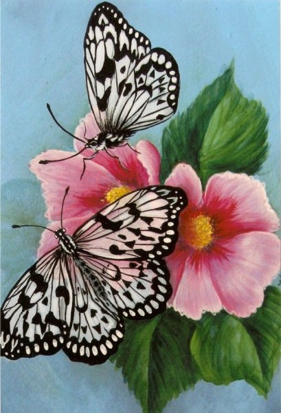 Рисунки с бабочками и цветами