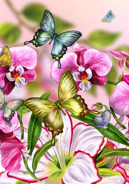 Бабочка на цветке