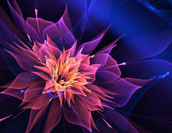 Красивые фрактальные цветы