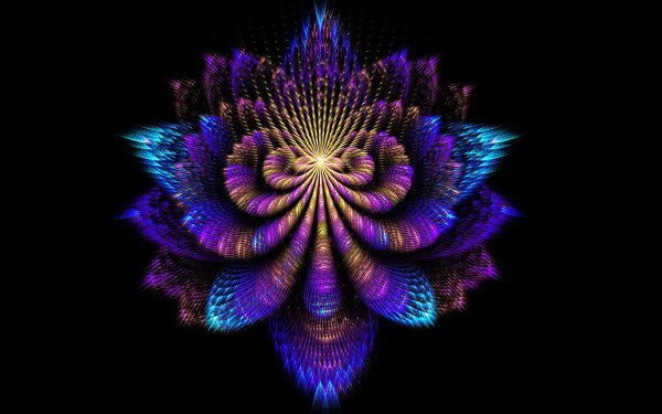 Фантастические цветы на черном фоне