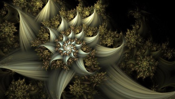 Фракталы цветы