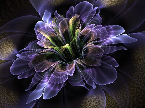 Фантастические цветы