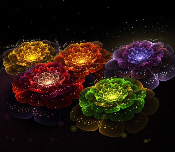 Цветочные Фракталы