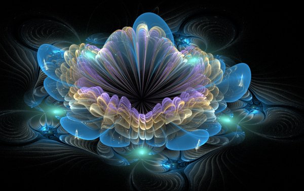 Сильвия Кордедда