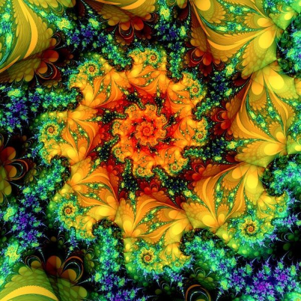 Фракталы цветы