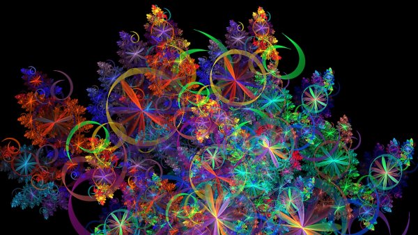 Фрактал роза