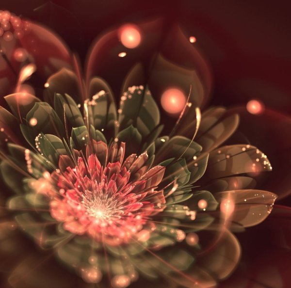 Неоновые цветы