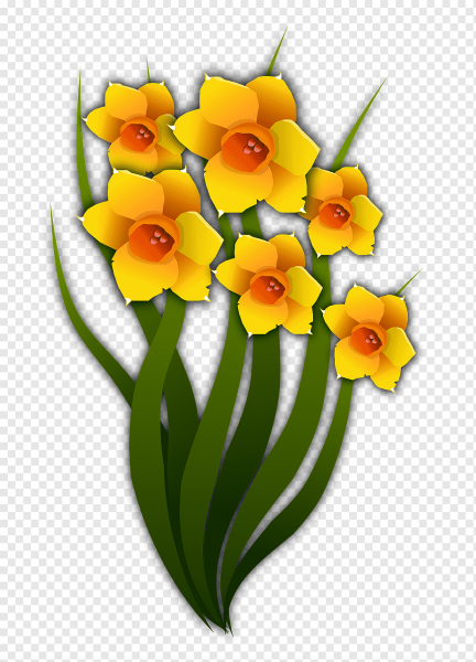 Нарцисс для дошкольников