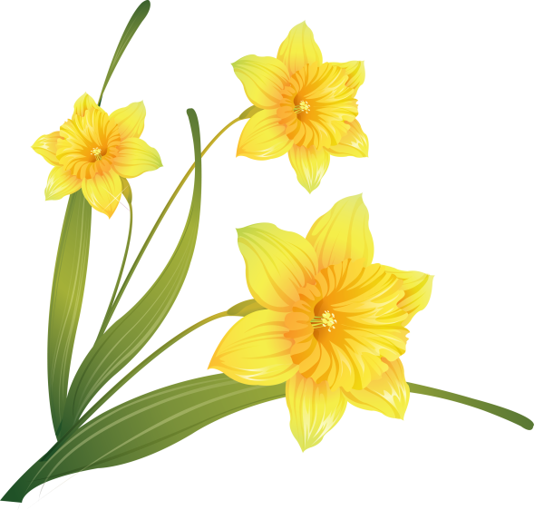 Желтые цветочки