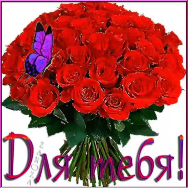 Букет роз для тебя