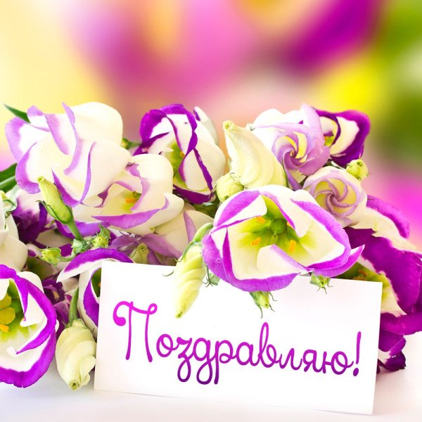 Цветы для подруги