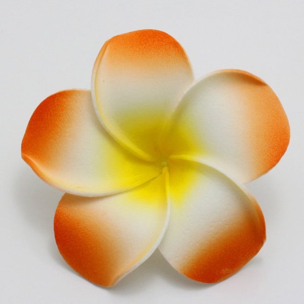 Гавайский белый цветок