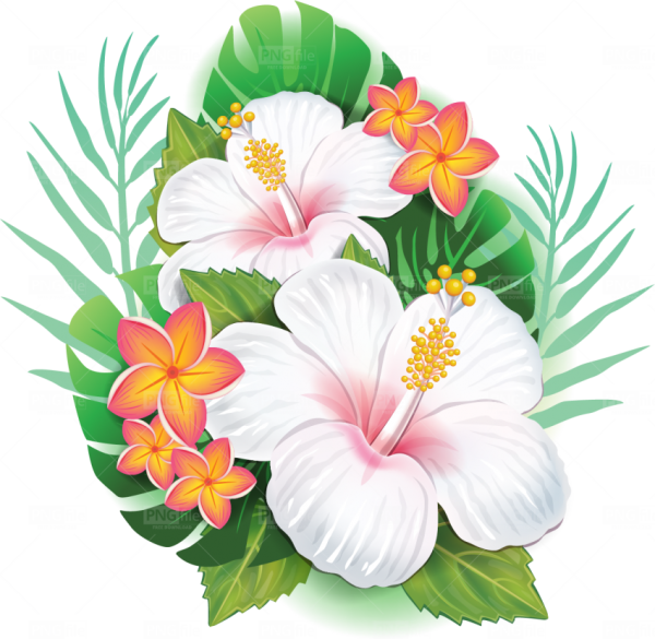 Гавайские цветы