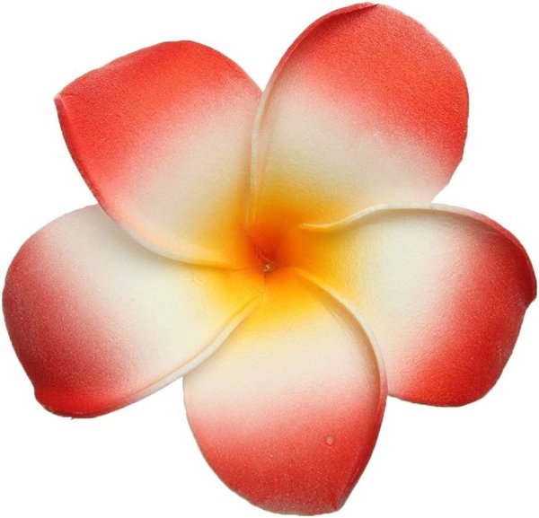 Гибискус Гавайи вектор