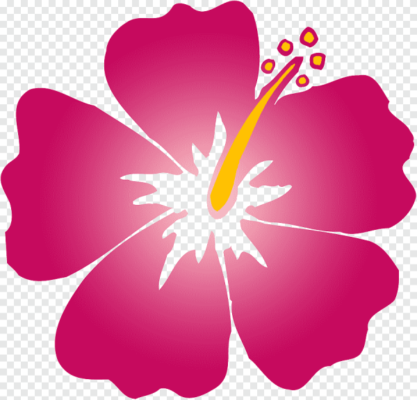 Красочные Гавайские цветы