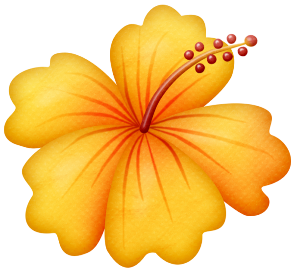 Гавайские цветы на прозрачном фоне