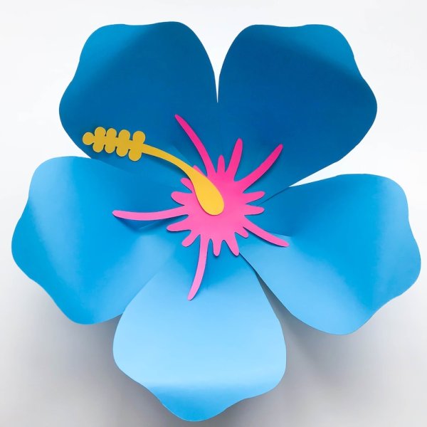 Гавайские цветы