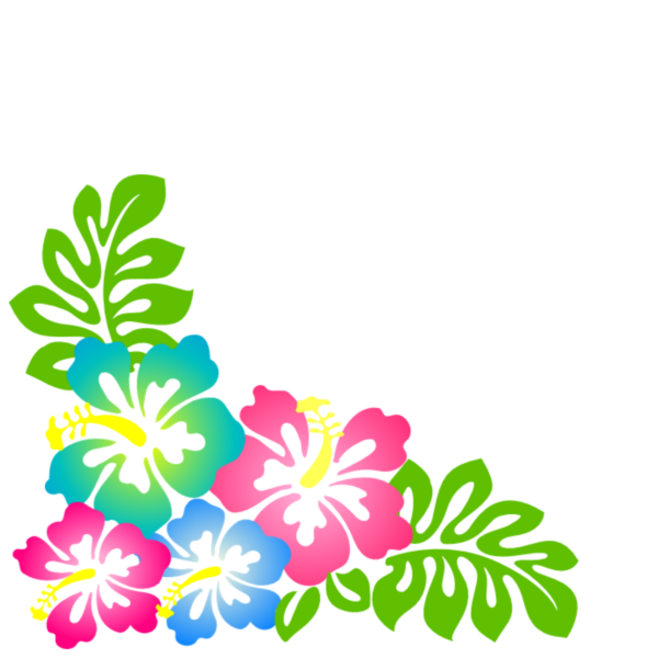 Гавайский цветок гибискус