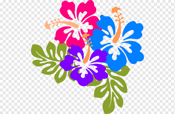 Гибискус Гавайи вектор