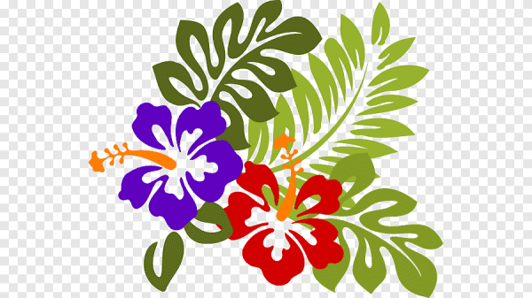 Цветы вектор