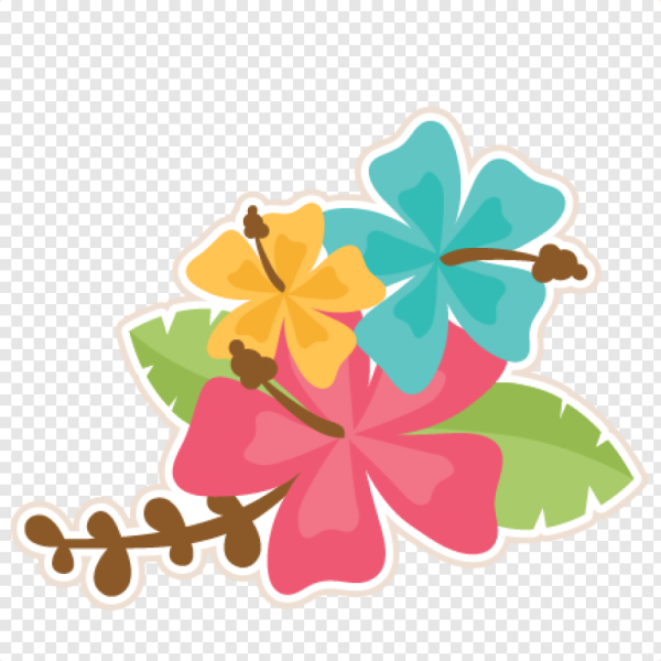 Цветок Гавайи вектор
