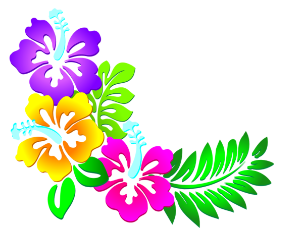 Гавайский орнамент вектор