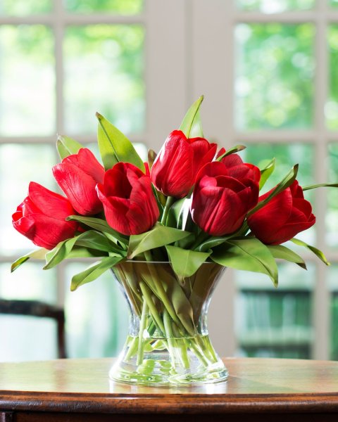 Тюльпаны для любимой