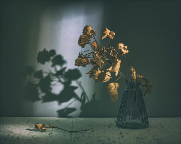 Засохшие цветы