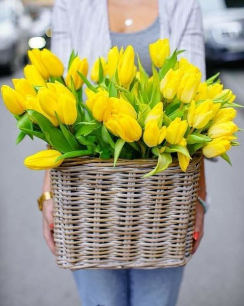 Тюльпаны в ведре