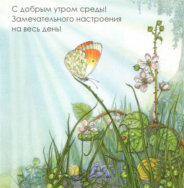 Чудесные иллюстрации