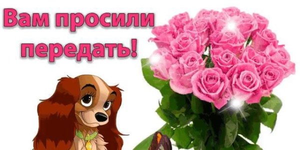 Просили передать цветы