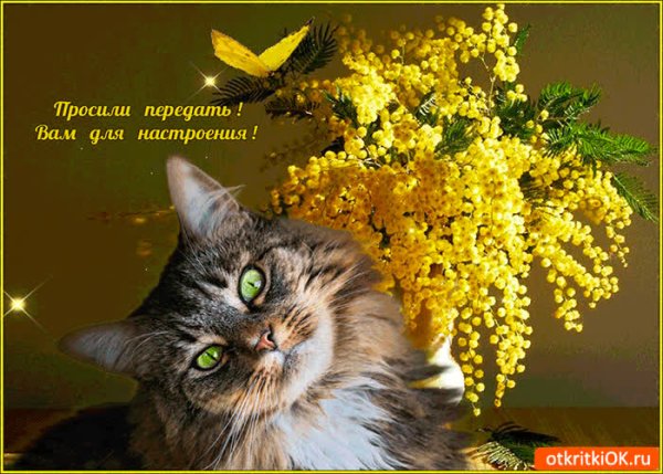 Просили передать цветы