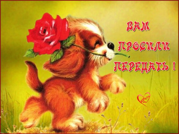 Дарю вам цветочек